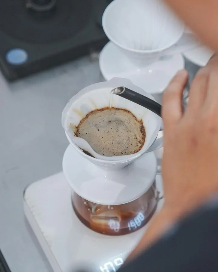 Barista brewing a pour-over coffee