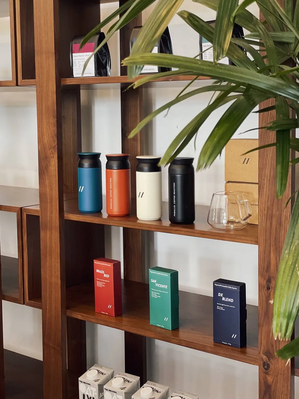 Parallel coffee boxes on a wooden shelf beside a palm